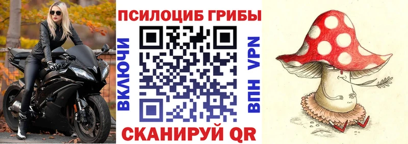 Галлюциногенные грибы мухоморы  купить наркоту  Ильский 